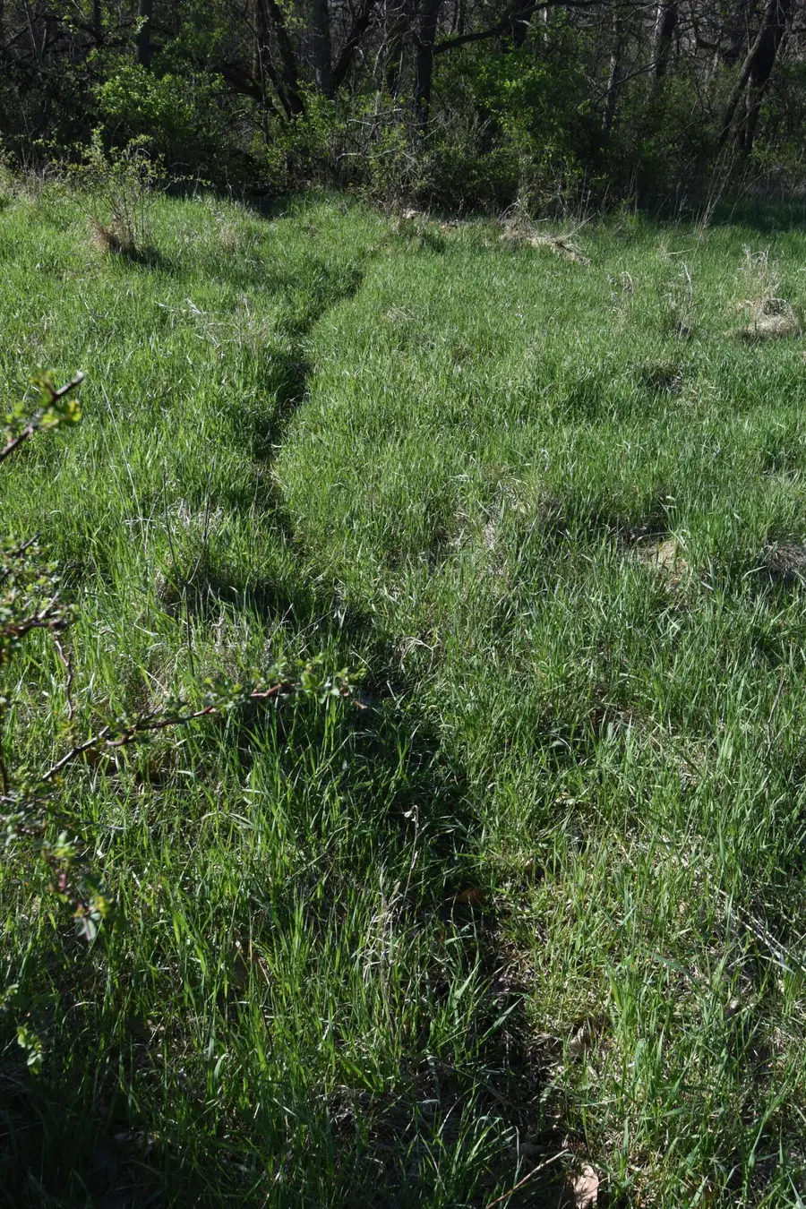 233rd Street, Boone, IA 50036 - #3