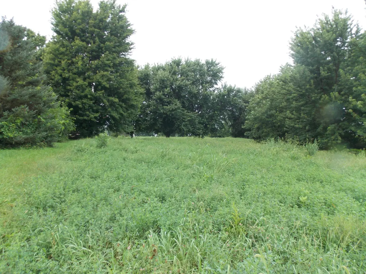1151 G Avenue, Ogden, IA 50212 - #1