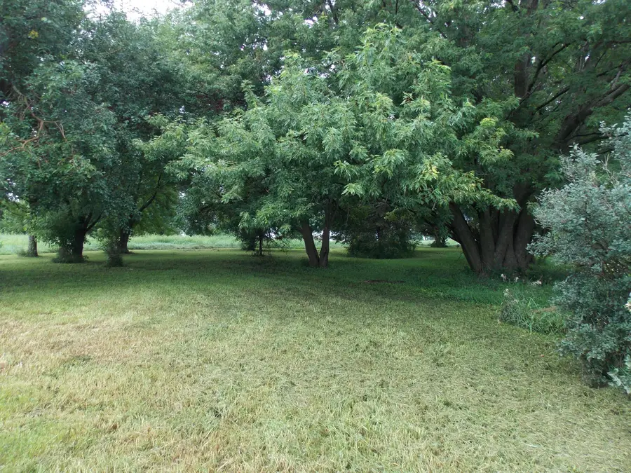 1151 G Avenue, Ogden, IA 50212 - #2