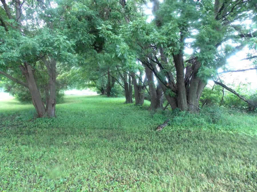 1151 G Avenue, Ogden, IA 50212 - #3