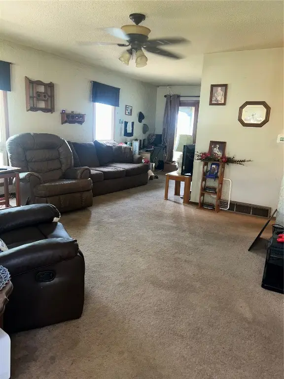 420 Knoll Street, Anamosa, IA 52205 - Image #2