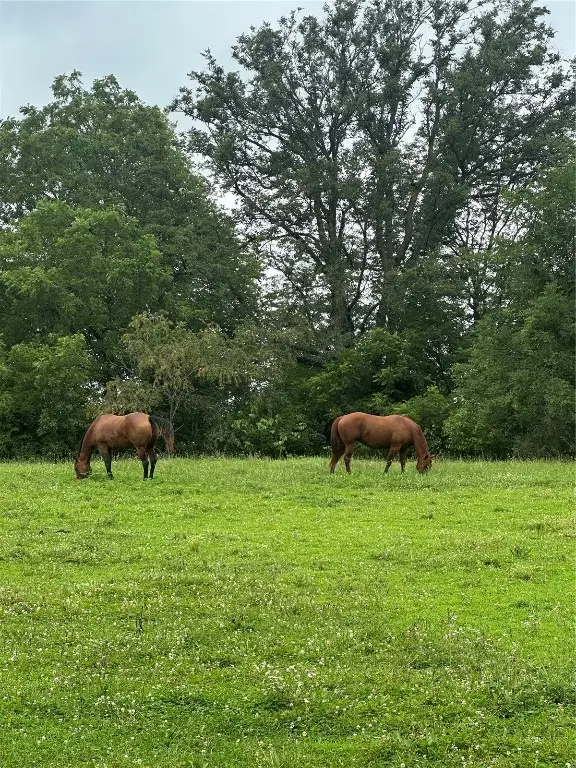 297 240th Place, Pella, IA 50219 - Image #3