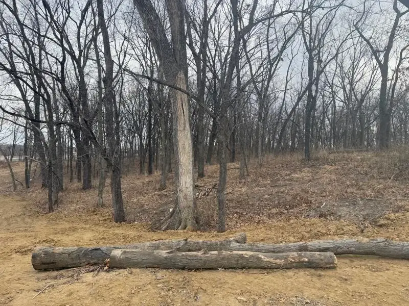 Lot 53 Madden Addition, Tiffin, IA 52340 - #1