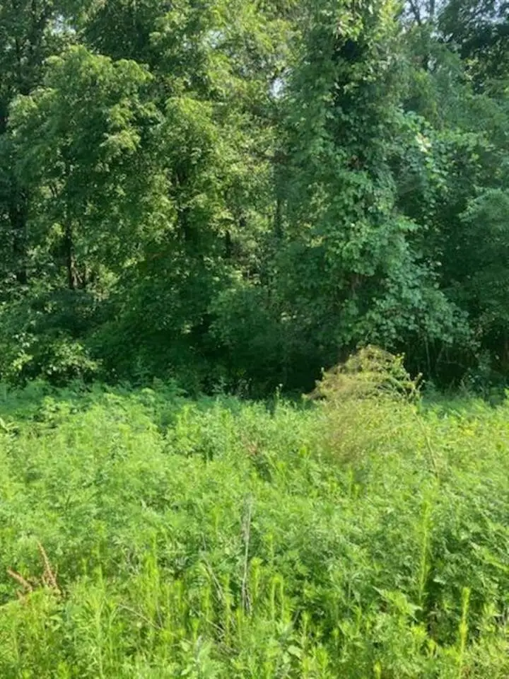 LOT 25 Gretchen Court, Sherrill, IA 52073 - Image #2