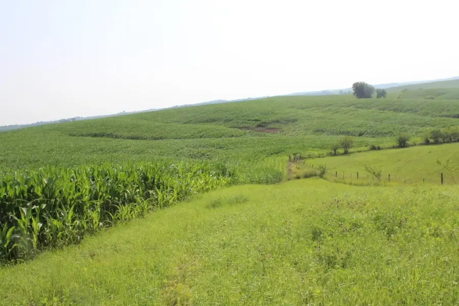 000 30th Avenue, Wyoming, IA 52362 - Image #3