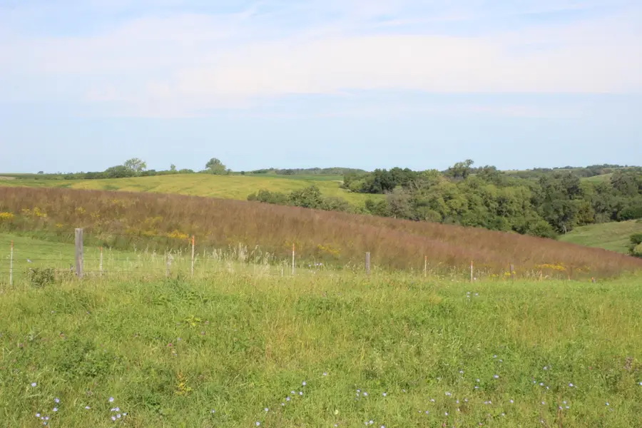 000 30th Avenue, Wyoming, IA 52362 - Image #2