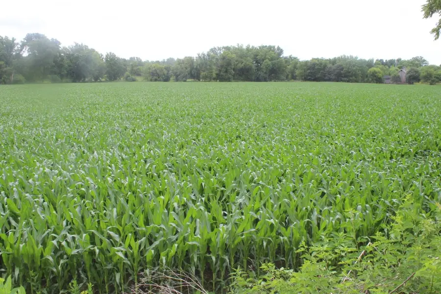 000 182nd Avenue, Maquoketa, IA 52060 - Image #2