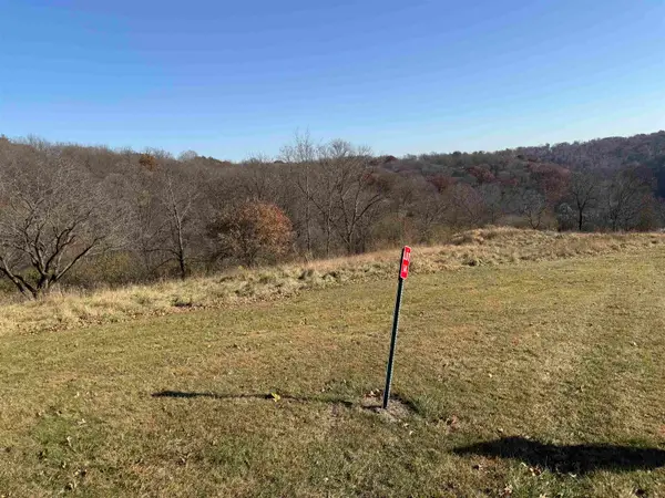 Center Avenue, McGregor, IA 52157