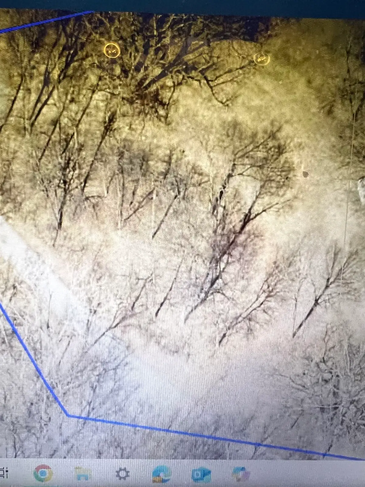 250250301230 215th Avenue, Delhi, IA 52223 - Image #1