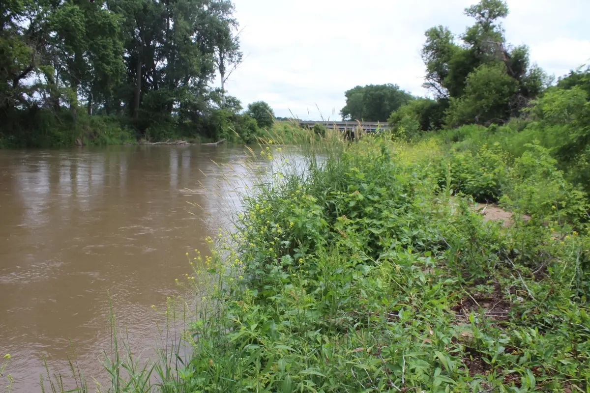 000 182nd Avenue, Maquoketa, IA 52060 - #1