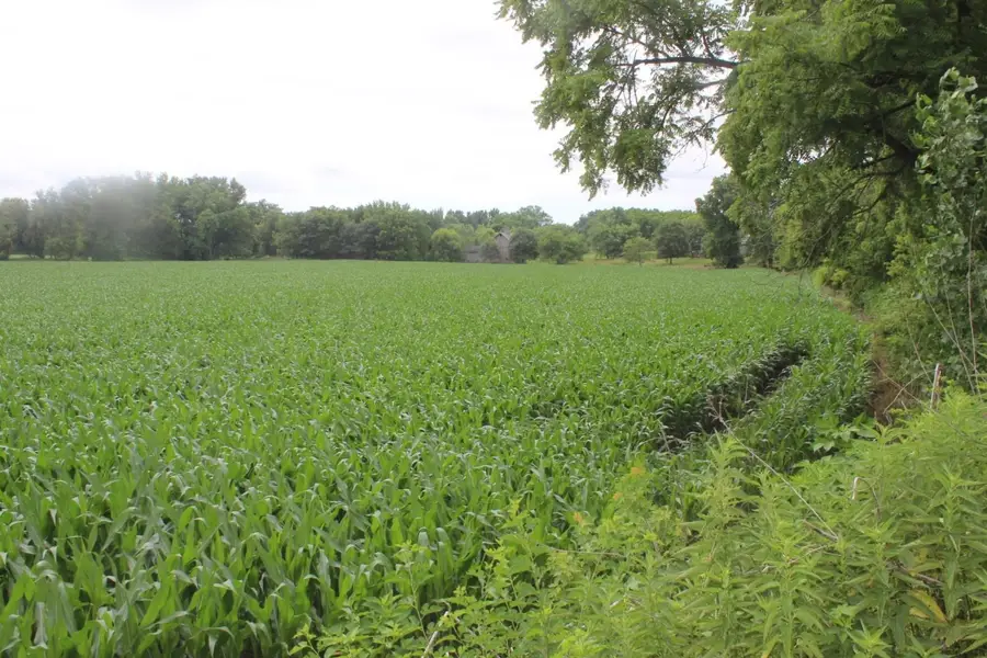 000 182nd Avenue, Maquoketa, IA 52060 - #2