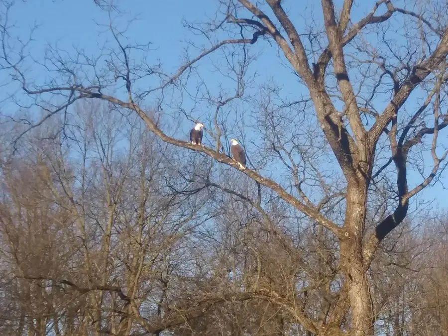 21853 Kings Row, Dubuque, IA 52001 - #3