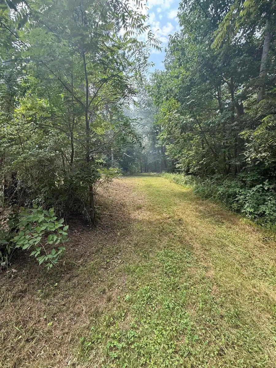 9503 Sunny Drive, Bernard, IA 52032 - #3