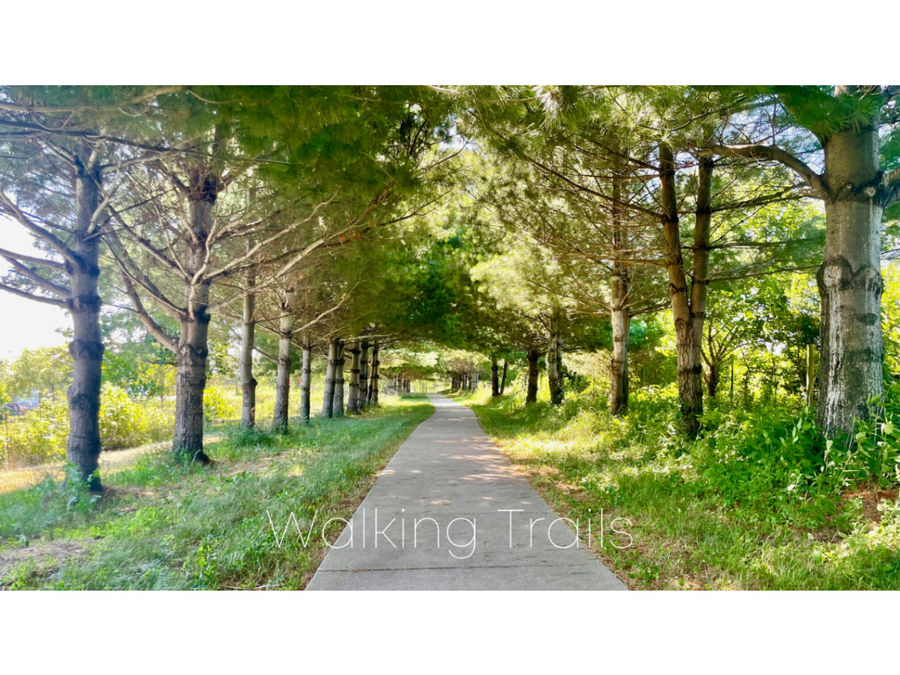 5686 SW Landview Drive, West Des Moines, IA 50265 - #3