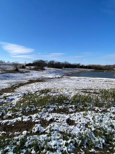 5035 Ella Ivy Court, Van Meter, IA 50261 - Image #1