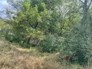 4217 Bluegrass Drive, Panora, IA 50216 - Image #3