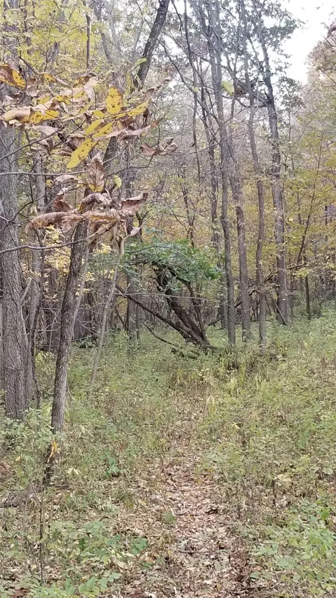 0003 145th Street, Earlham, IA 50072 - Image #3