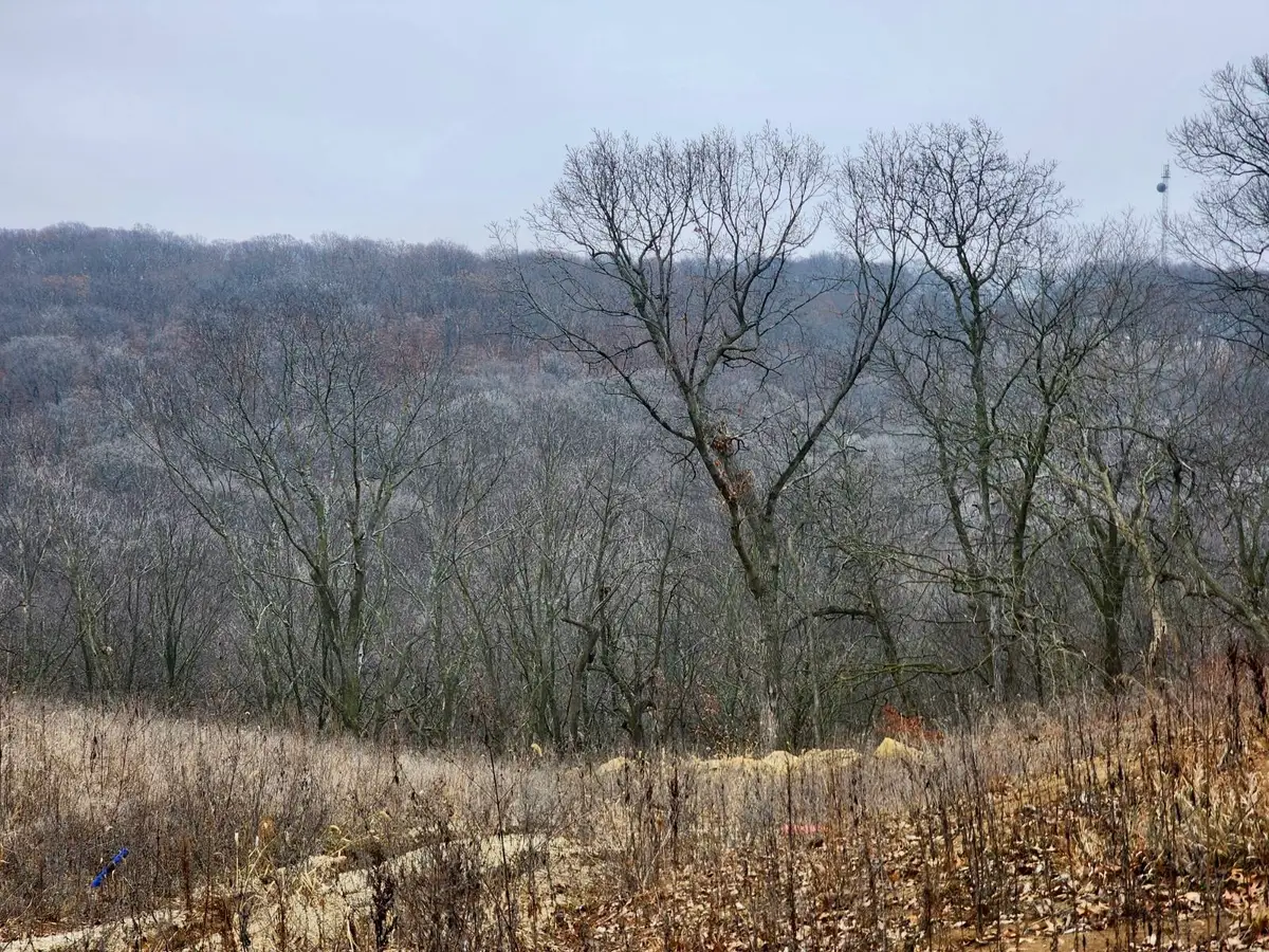 2368 St Charles Road, Winterset, IA 50273 - Image #1