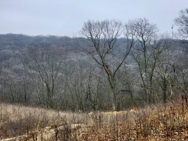 2368 St Charles Road, Winterset, IA 50273