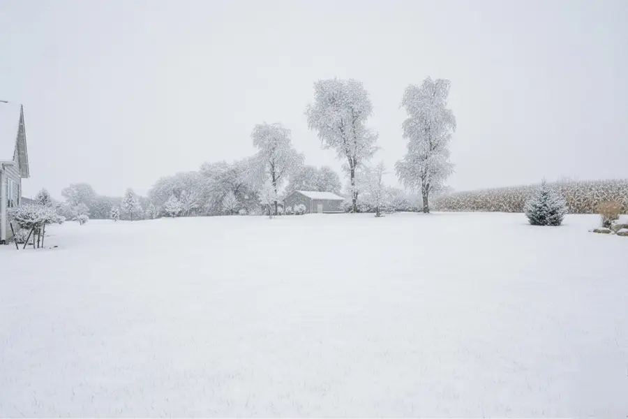 10792 NW 111th Avenue, Granger, IA 50109 - Image #2