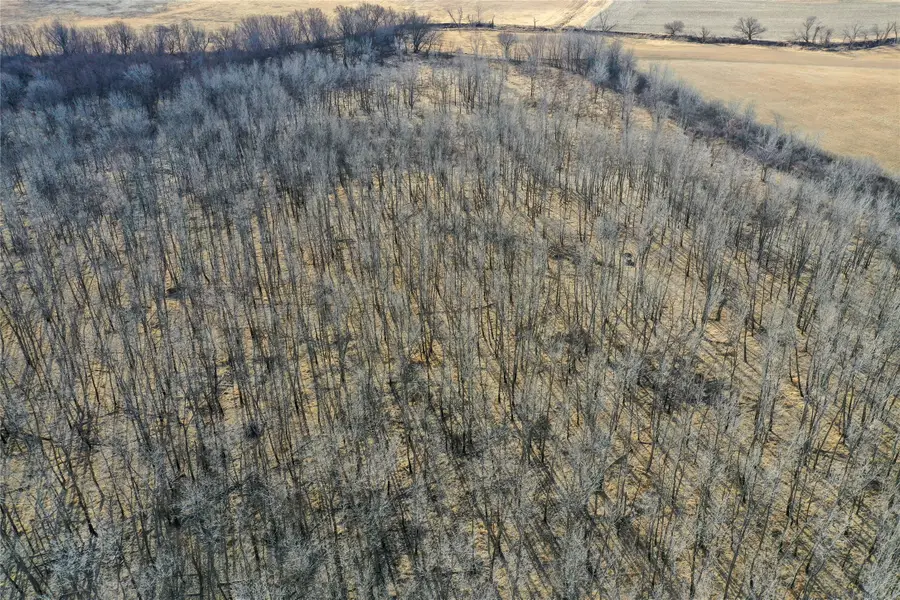 0 150th Avenue, Benton, IA 52563 - Image #3