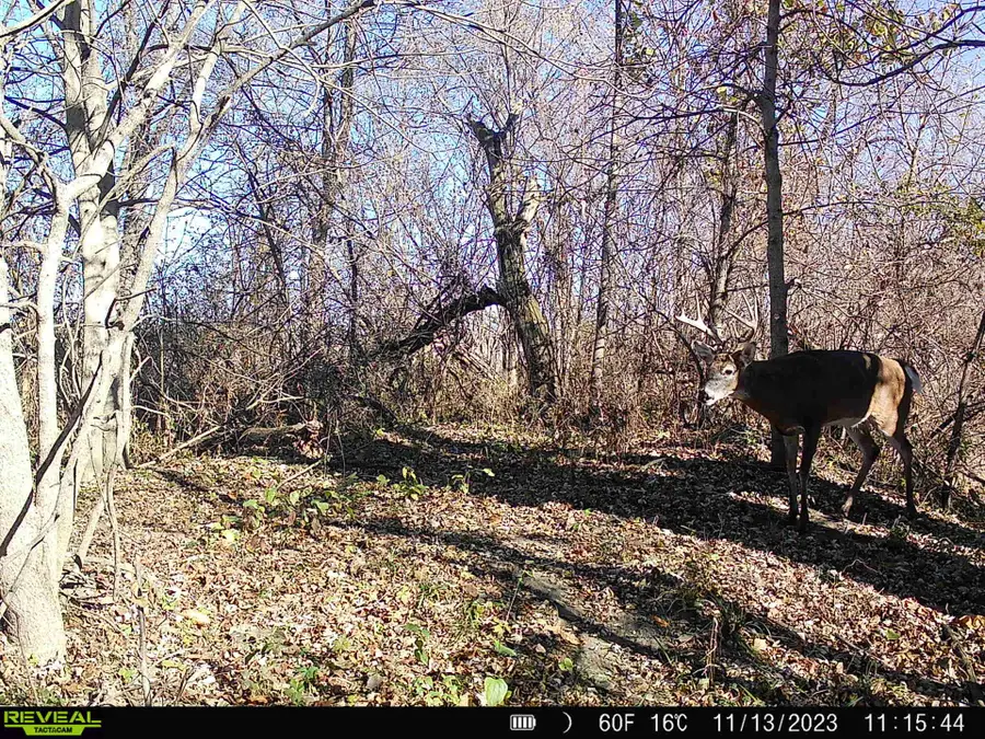 TBD 22.88 Acres Street, Indianola, IA 50125 - Image #3