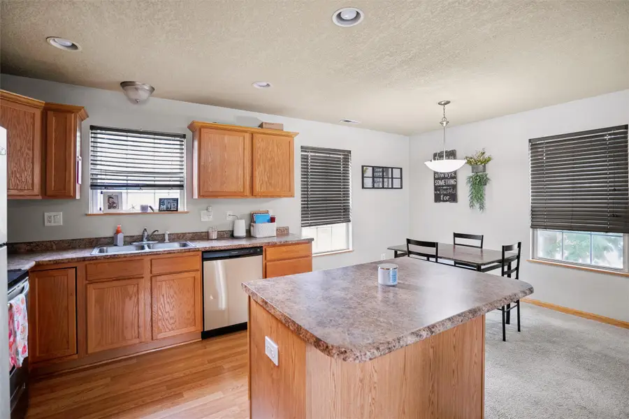 1129 Flagstone Lane, Pleasant Hill, IA 50327 - Image #3