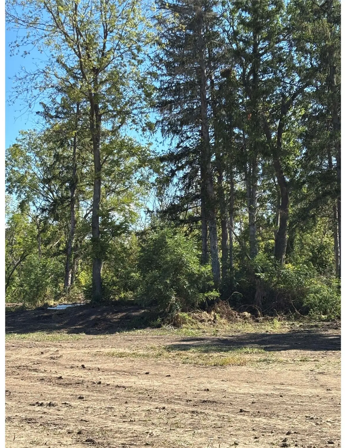 1 NW 88th Street, Johnston, IA 50131 - Image #1