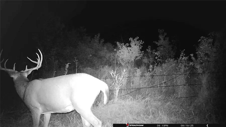 19479 80th Avenue, New Virginia, IA 50210 - Image #2