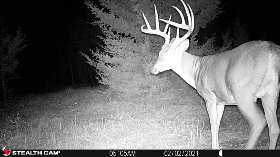 19479 80th Avenue, New Virginia, IA 50210 - Image #3