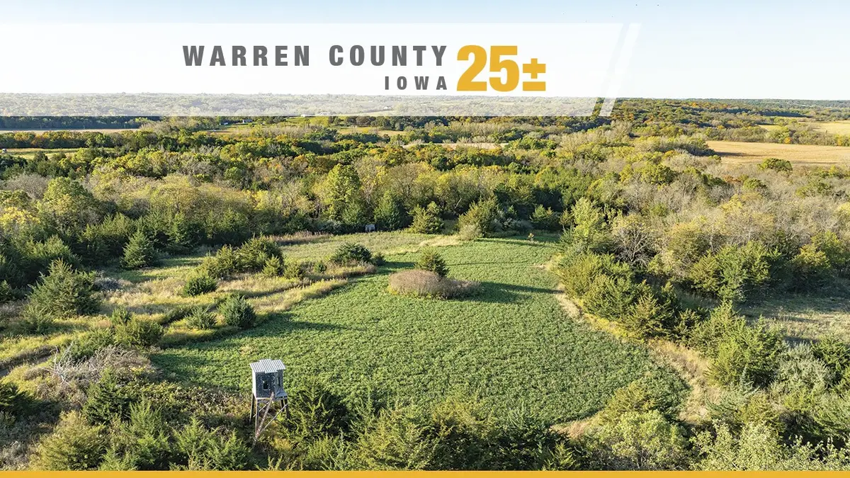 TBD Virginia Street, New Virginia, IA 50210 - Image #1