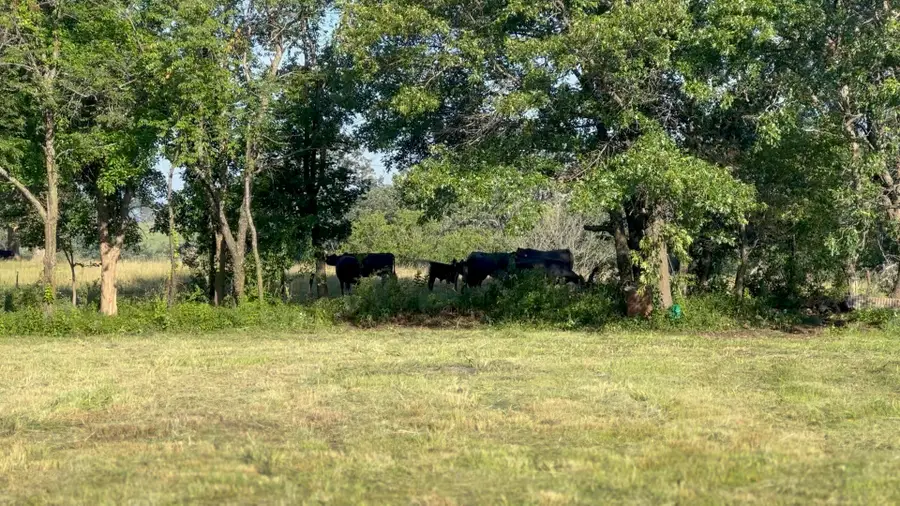 3315 178th Court, Norwalk, IA 50211 - Image #3