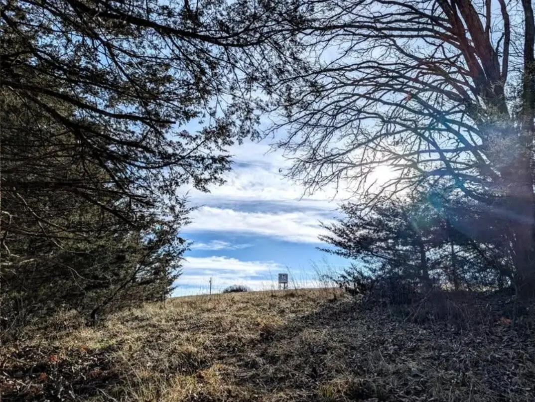 1775 Doyle Street, Osceola, IA 50213 - #1