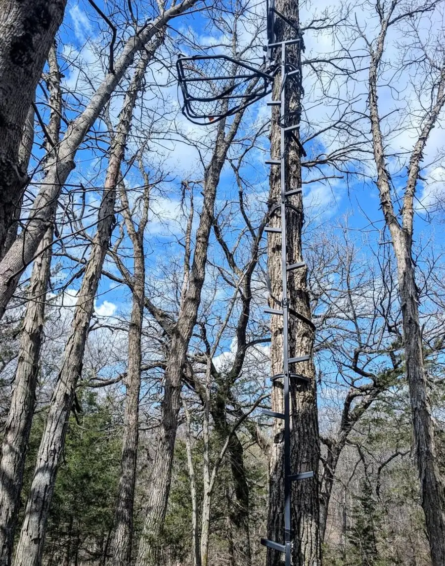 1775 Doyle Street, Osceola, IA 50213 - #3