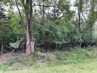 4405 Cordelang Court, Panora, IA 50216 - Image #2