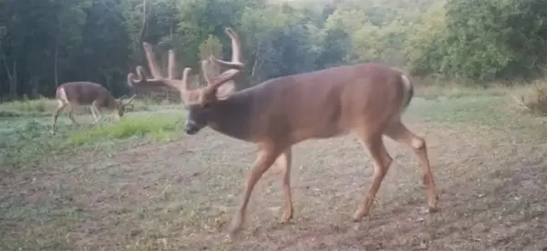 2533 290th Street, Peru, IA 50222