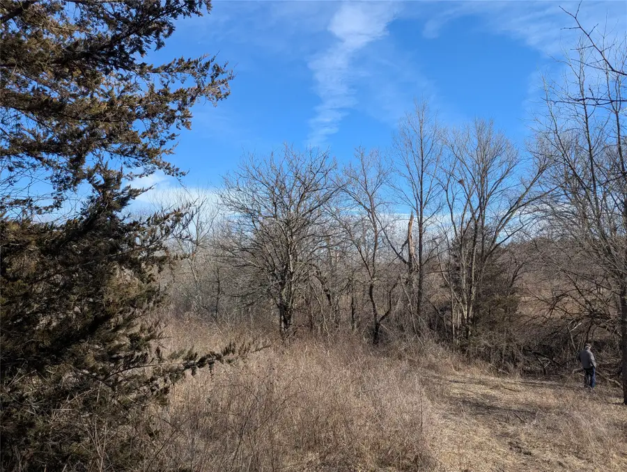 9203 Van Buren Street, New Virginia, IA 50210 - #3