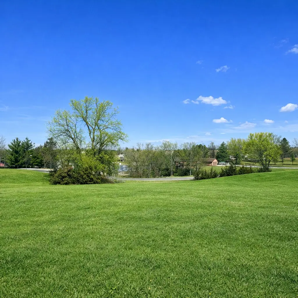 1116 Crestview, Ellston, IA 50074 - #1