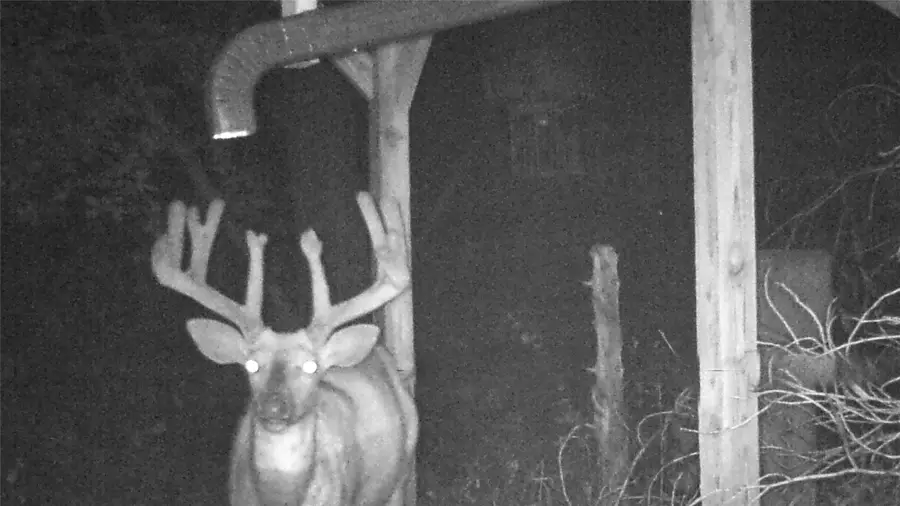 805 W 120th Street S, Colfax, IA 50054 - #3