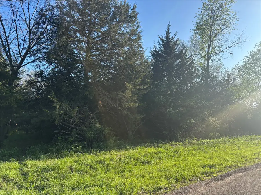 4729 Cornelius Road, Panora, IA 50216 - #3