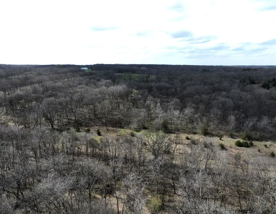 31450 510th Street, Russell, IA 50238 - #3