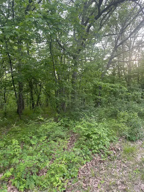 6513 Jansen Cove, Panora, IA 50216 - #2