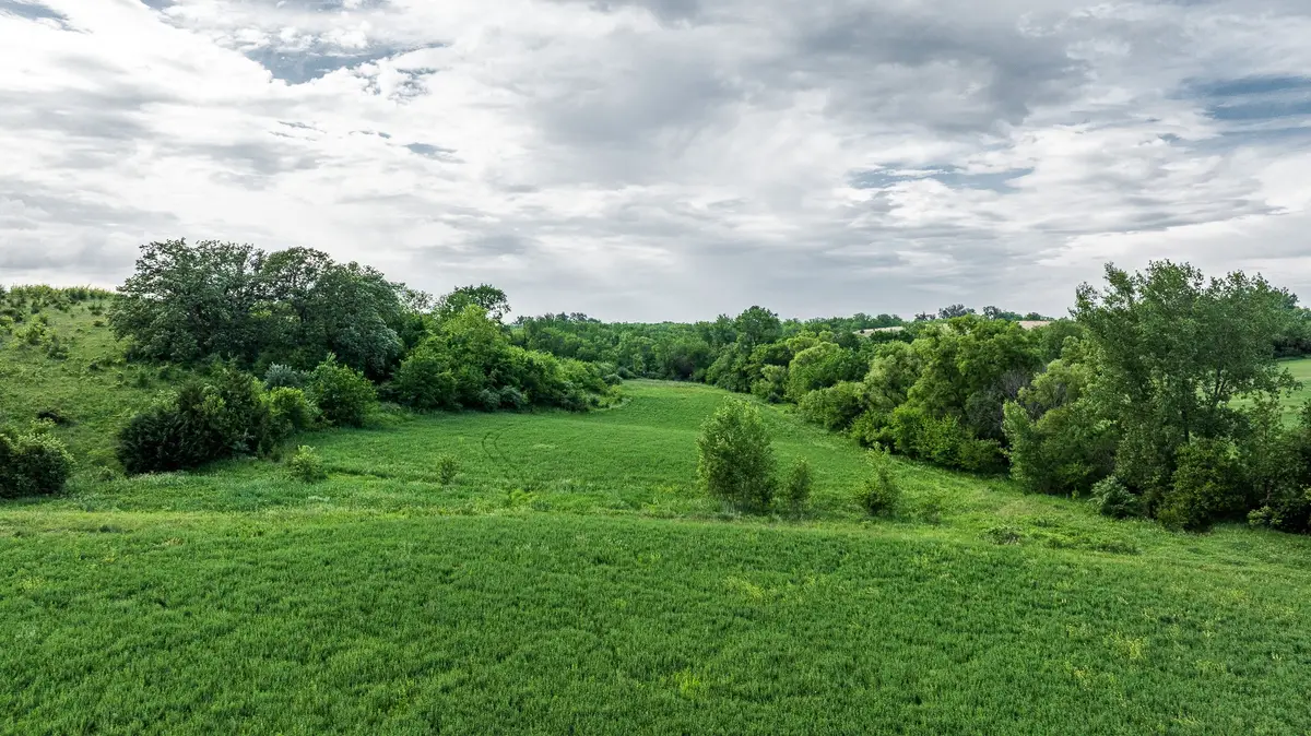 000 210th Avenue, Milo, IA 50166 - #1