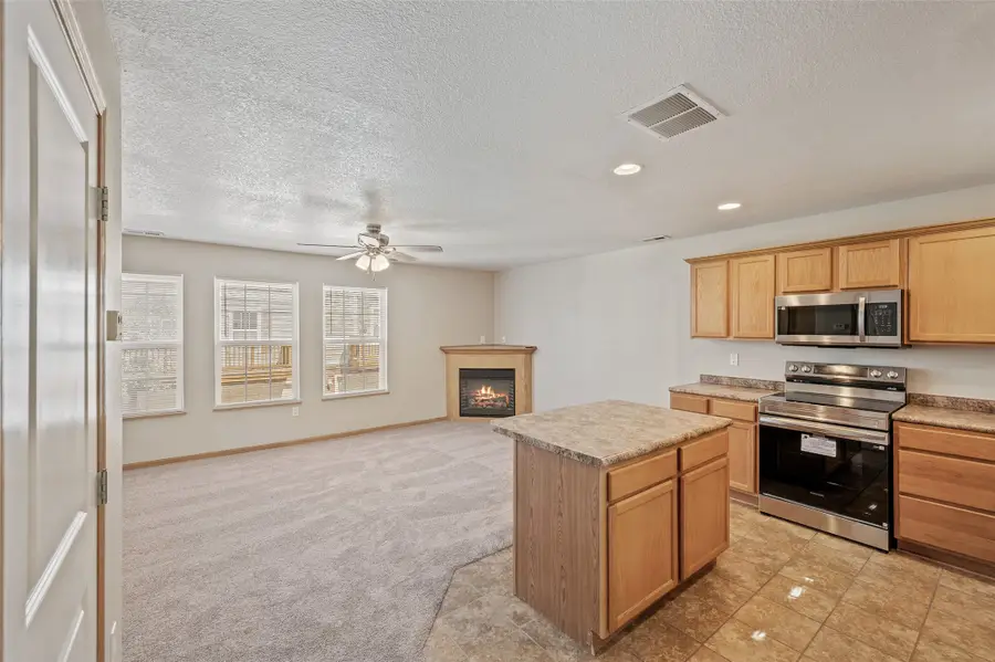 1146 Blackstone Lane, Pleasant Hill, IA 50327 - #3
