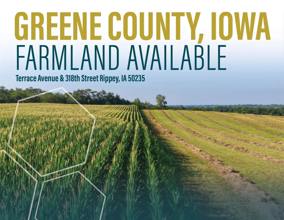 Terrace Avenue, Rippey, IA 50235 - #1