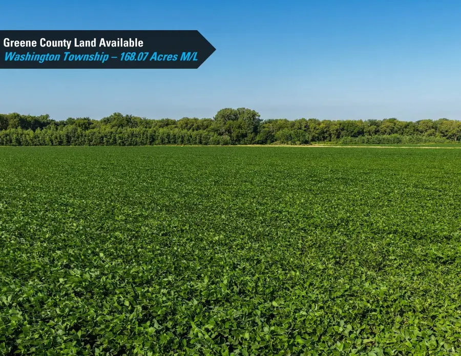 Terrace Avenue, Rippey, IA 50235 - #3
