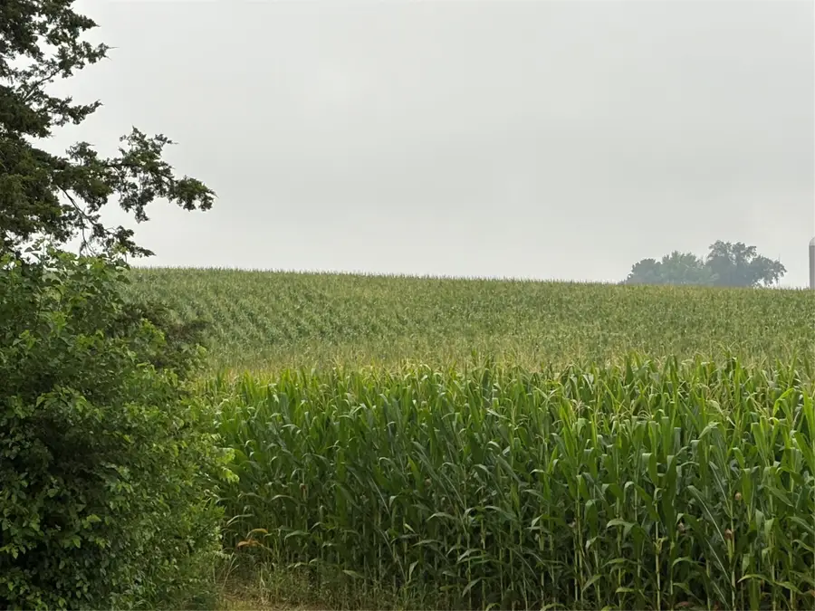 Adams Avenue, Pella, IA 50219 - #2