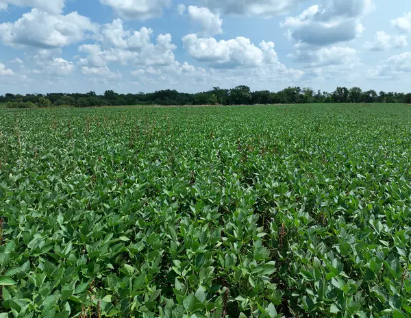 235th Trail, Chariton, IA 50049