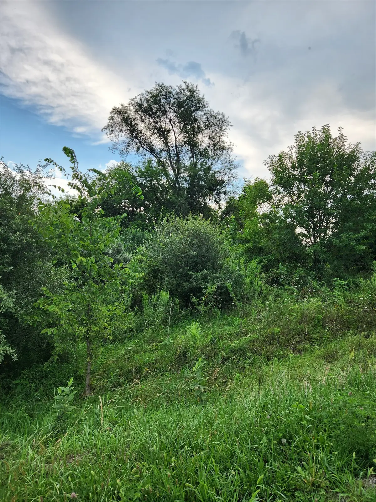 TBD High View Drive, Knoxville, IA 50138 - #1