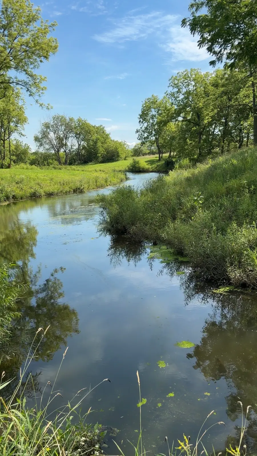 Mckinley & S31 Highway, Milo, IA 50166 - #2